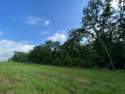 Tract 7 & 8 County Road 426 Marquez TX 77865