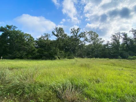 Tract 7 & 8 County Road 426 Marquez TX 77865