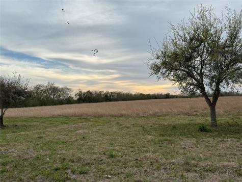 0 County Road 46 Danbury TX 77534