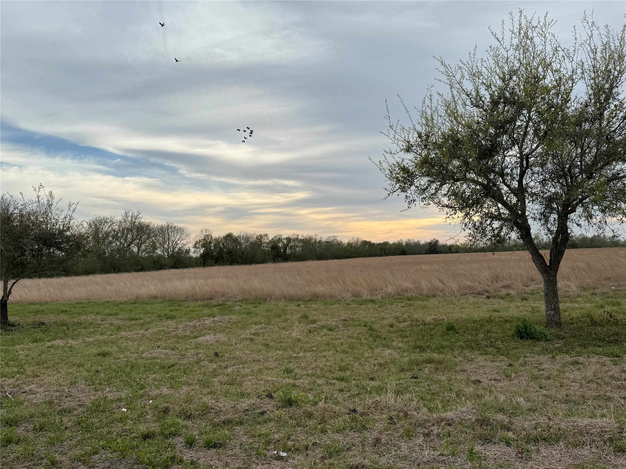 0 County Road 46 Danbury TX 77534