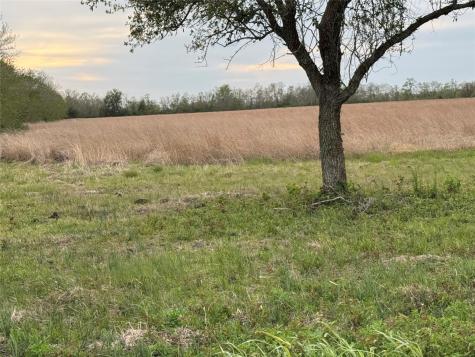 0 County Road 46 Danbury TX 77534