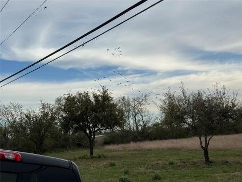0 County Road 46 Danbury TX 77534
