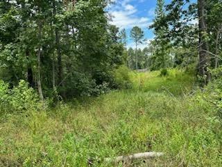 1129 County Road 2235 Cleveland TX 77327