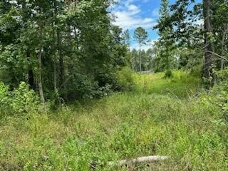 1129 County Road 2235 Cleveland TX 77327