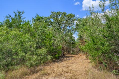 10842 Rauch Road La Grange TX 78946