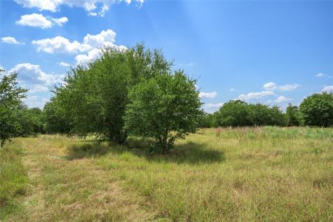 10842 Rauch Road La Grange TX 78946