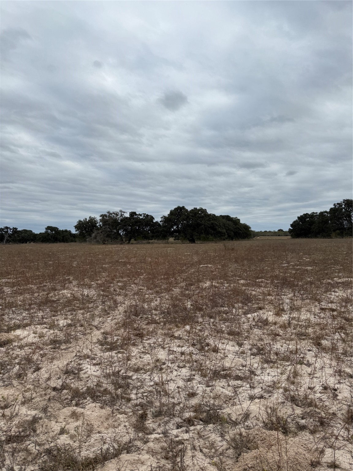 3737 Bruce Lot 2 Road Poteet TX 78065