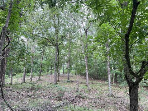 Miller Lane & Tx-156 Livingston TX 77364