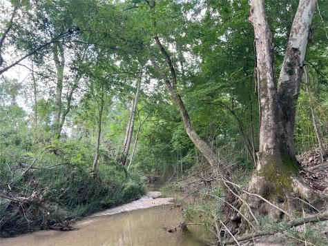 Miller Lane & Tx-156 Livingston TX 77364