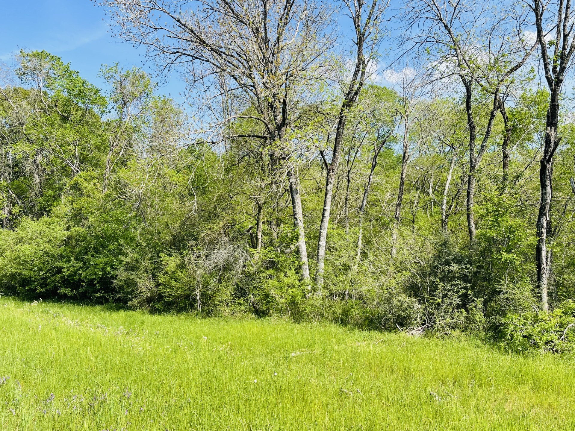 0000 Fm 1791 Huntsville TX 77340