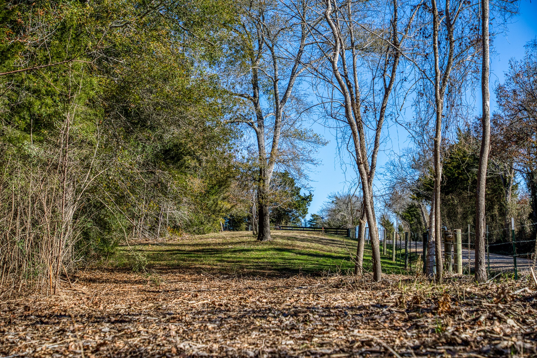 1598 Tiemann Road New Ulm TX 78950