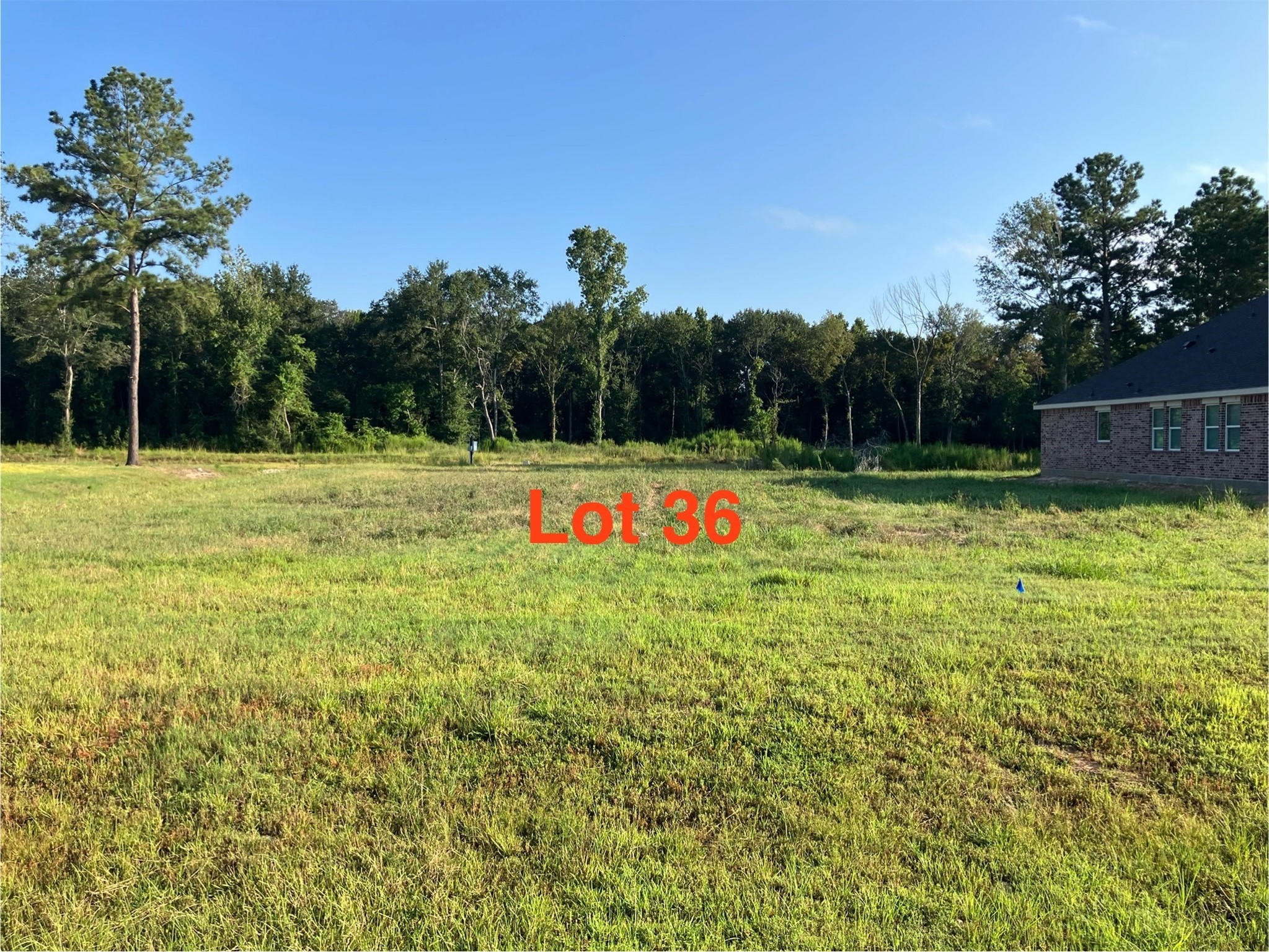 970 Tarkington Timbers Drive Cleveland TX 77327