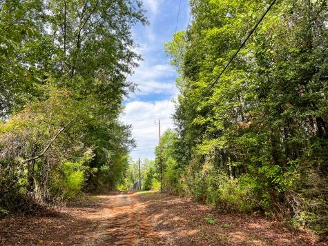 7045 State Highway 75 Huntsville TX 77340