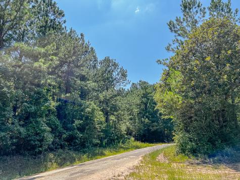 0000 Creek 366/cr 368 Zavalla TX 75980