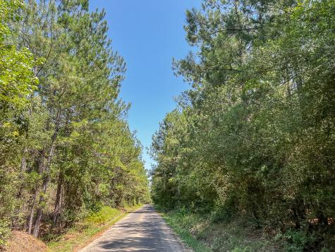 0000 Creek 366/cr 368 Zavalla TX 75980