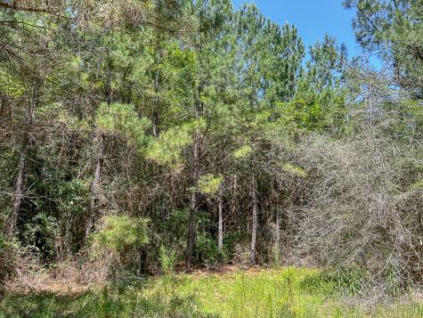 0000 Creek 366/cr 368 Zavalla TX 75980