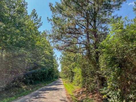 0000 Creek 366/cr 368 Zavalla TX 75980