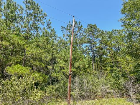 0000 Creek 366/cr 368 Zavalla TX 75980