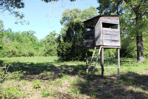 298 Private Road 1350 Centerville TX 75833
