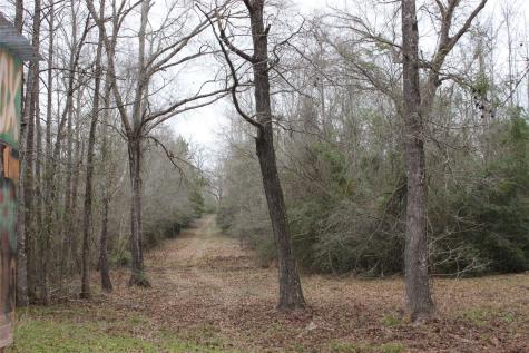 298 Private Road 1350 Centerville TX 75833