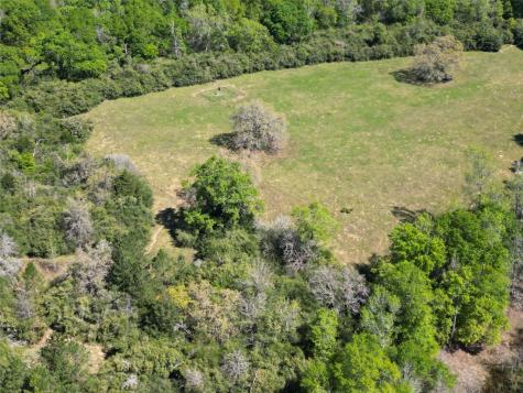298 Private Road 1350 Centerville TX 75833