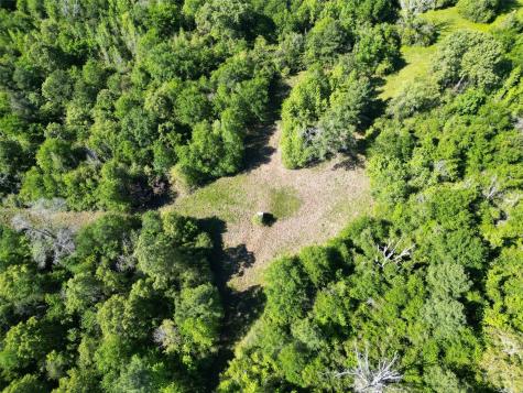 298 Private Road 1350 Centerville TX 75833