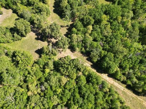 298 Private Road 1350 Centerville TX 75833