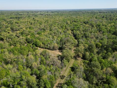 298 Private Road 1350 Centerville TX 75833