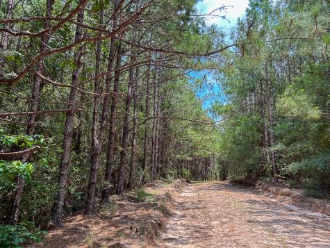 0 County Line Road Livingston TX 77351