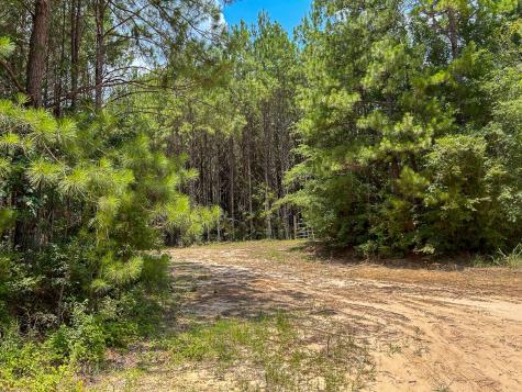 0 County Line Road Livingston TX 77351
