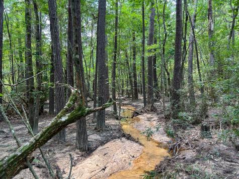 0 County Line Road Livingston TX 77351