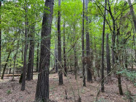 0 County Line Road Livingston TX 77351