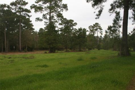9000 N County Road 355 Plantersville TX 77363