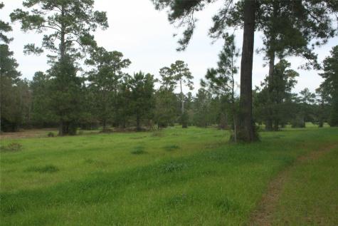 9000 N County Road 355 Plantersville TX 77363