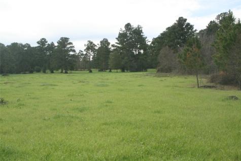 9000 N County Road 355 Plantersville TX 77363