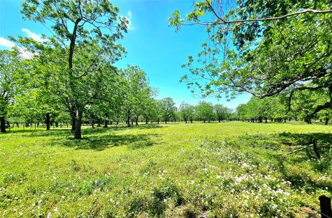 0 Creek 153 Boling TX 77420