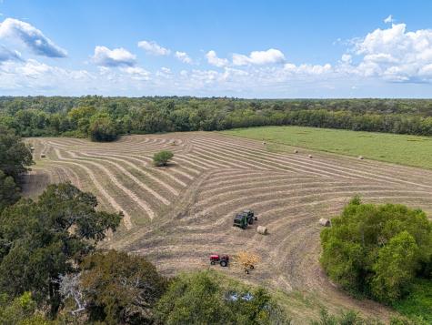2602 N Fm 2429 Bellville TX 77418
