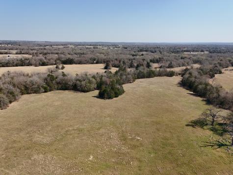 Tbd Tract 3 Fcr 510 Fairfield TX 75840