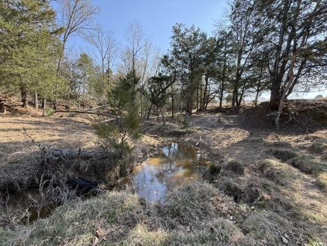 Tbd Tract 3 Fcr 510 Fairfield TX 75840