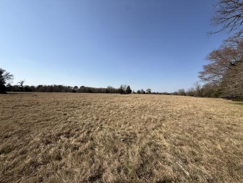 Tbd Tract 3 Fcr 510 Fairfield TX 75840
