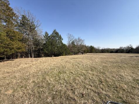 Tbd Tract 3 Fcr 510 Fairfield TX 75840