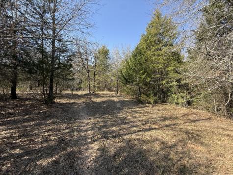 Tbd Tract 3 Fcr 510 Fairfield TX 75840