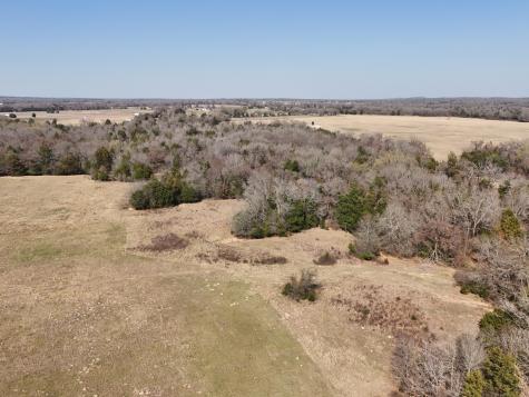 Tbd Tract 3 Fcr 510 Fairfield TX 75840