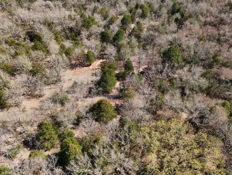 Tbd Tract 3 Fcr 510 Fairfield TX 75840