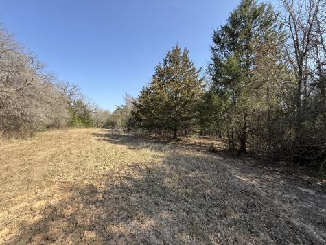 Tbd Tract 3 Fcr 510 Fairfield TX 75840