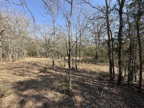 Tbd Tract 3 Fcr 510 Fairfield TX 75840