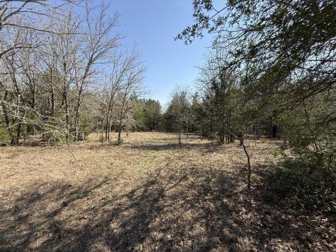 Tbd Tract 3 Fcr 510 Fairfield TX 75840