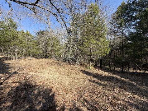 Tbd Tract 3 Fcr 510 Fairfield TX 75840