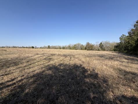 Tbd Tract 3 Fcr 510 Fairfield TX 75840