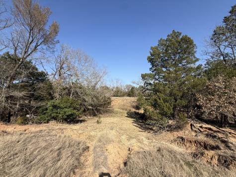 Tbd Tract 3 Fcr 510 Fairfield TX 75840